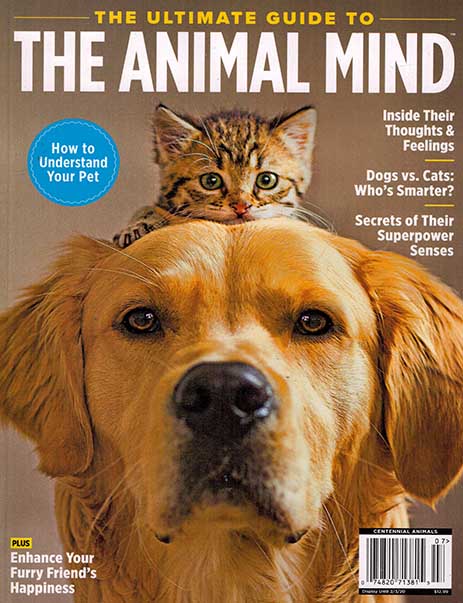 The Ultimate Guide to The Animal Mind