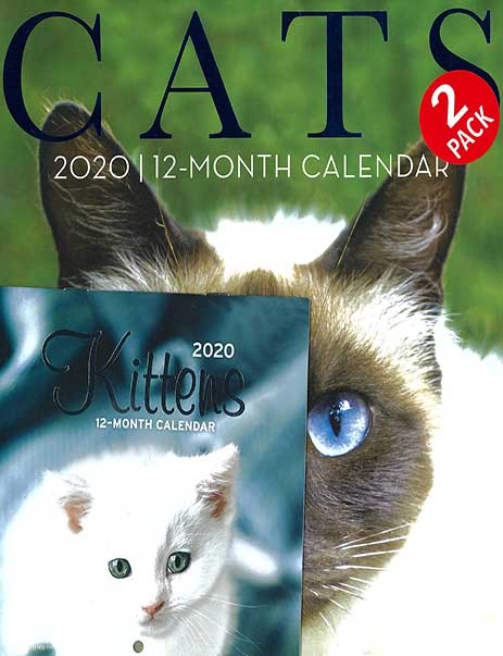 2020 Cats Calendar