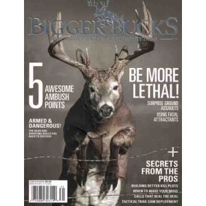 Biggrer Bucks