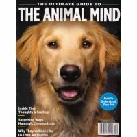 The Ultimate Guide to The Animal Mind