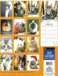 2020 Cats Calendar